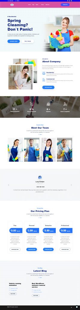 Cleaning service website demo, WordPress, shopify website