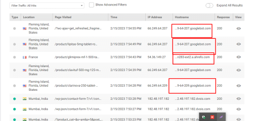 Website bot traffic