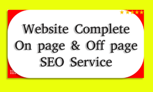 Complete website on page & Off page SEO service