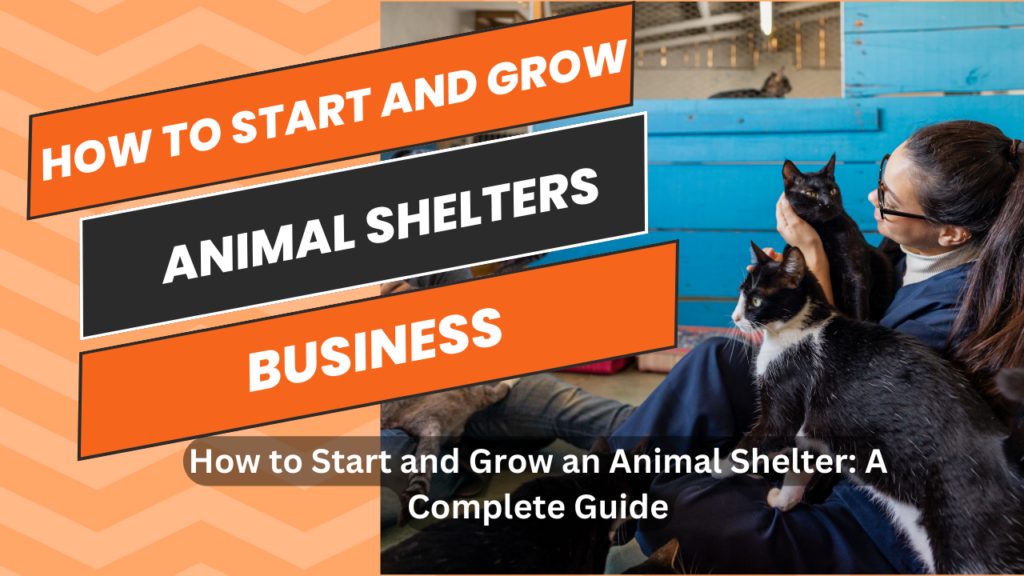 How to Start and Grow an Animal Shelter: A Digital Guide